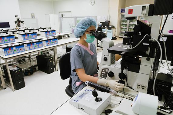 第三代试管助孕机构全流程解析：从胚胎筛查到成功着床的硬核指南